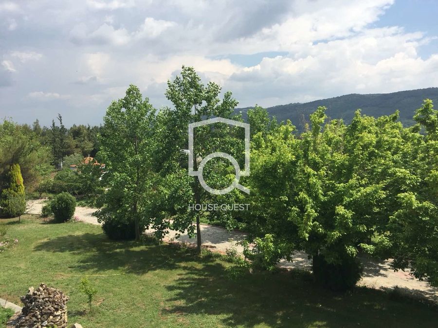 Photo 313990032