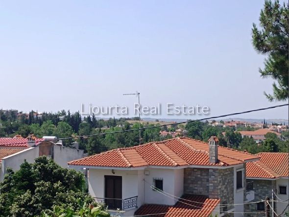 Fotografías 314356491