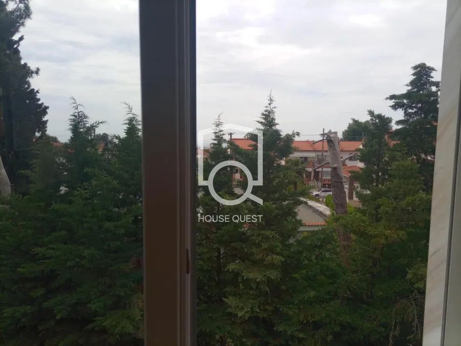 Photo 314600064