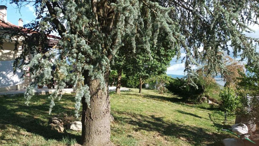 Photo 315158085