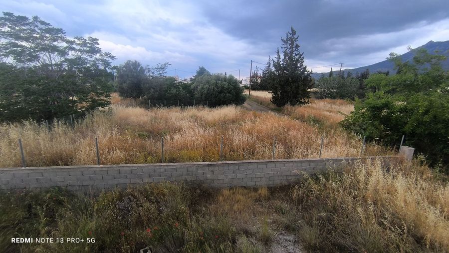Photo 315418218