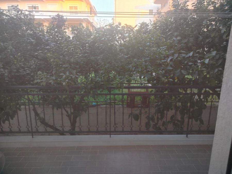 Photo 315421590