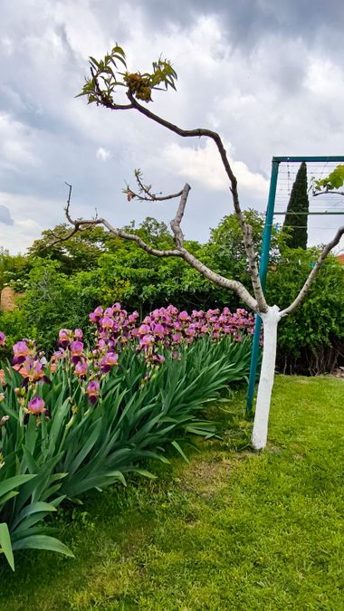 Снимка 315460200