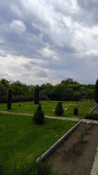 Снимка 315460203