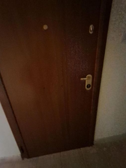 Снимка 315705693