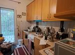Fotografie 315834378