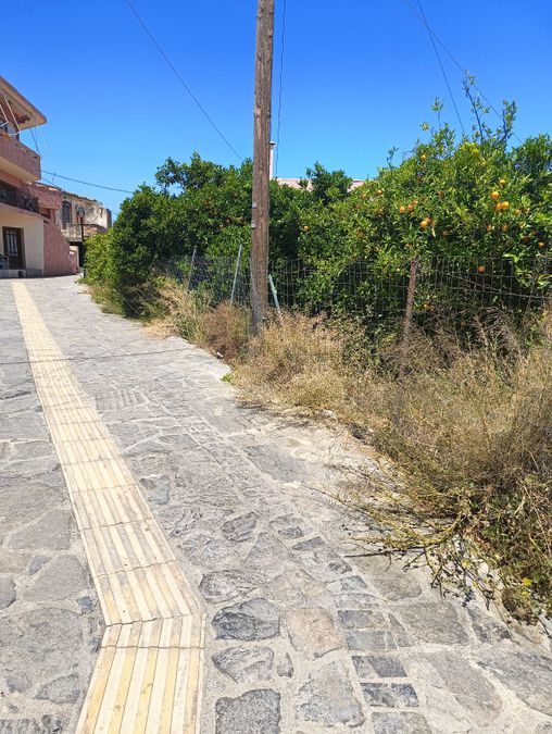 Fotografie 315872196