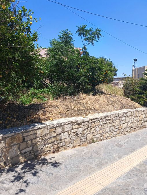 Fotografie 315872199