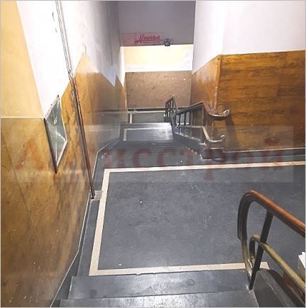 Снимка 316100685