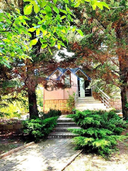 Снимка 316356987