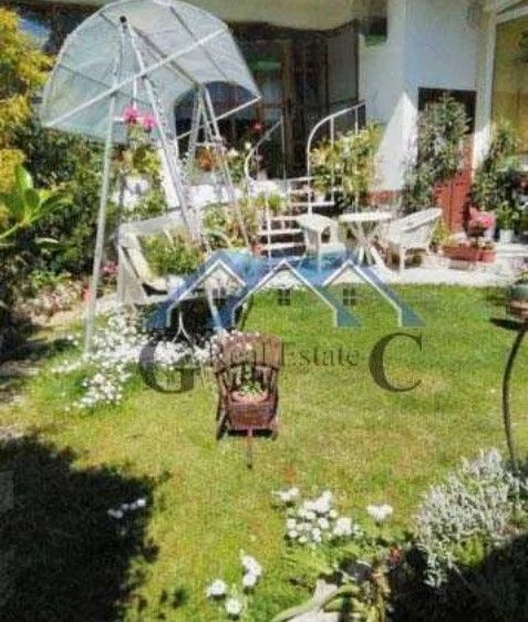 Снимка 316367715