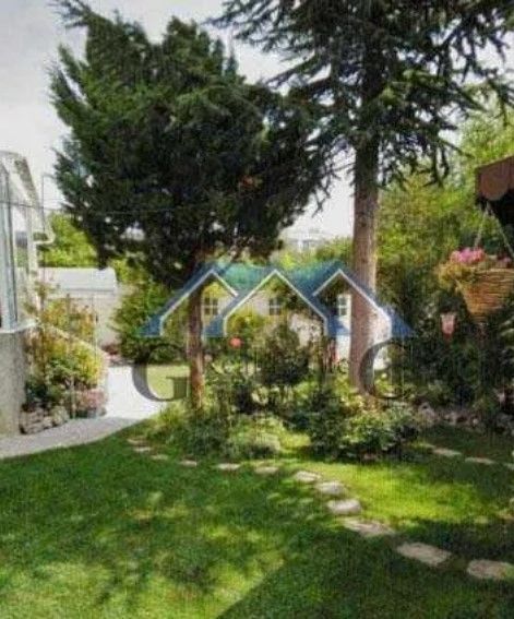 Снимка 316367721