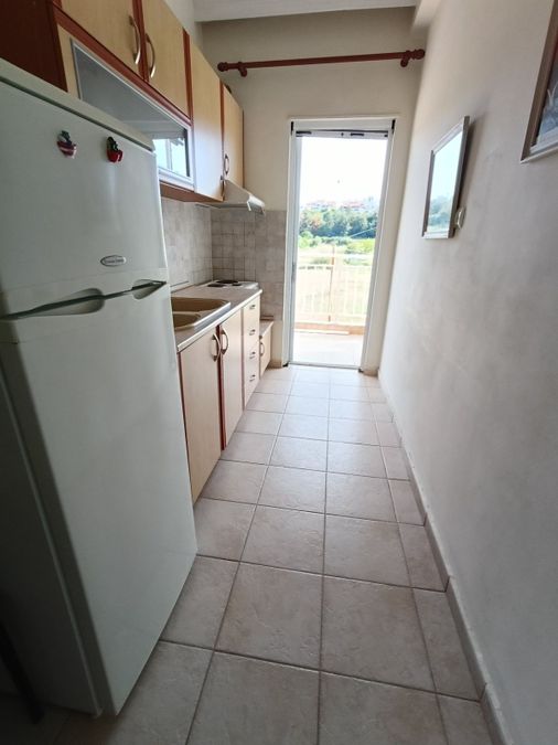 Fotografías 316520214