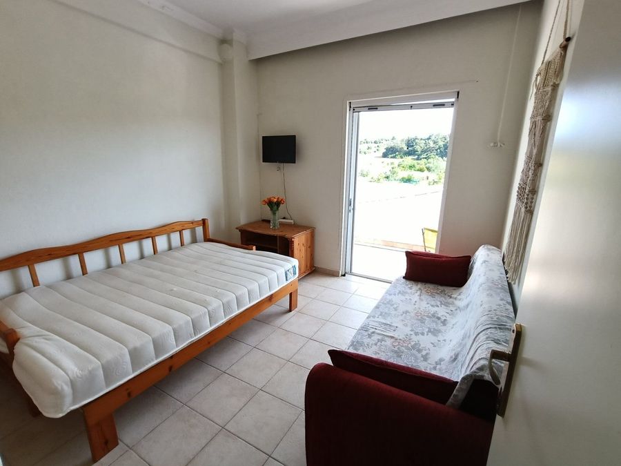 Fotografías 316520226