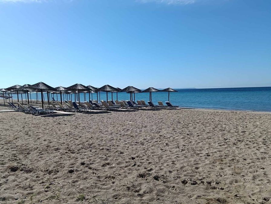 Fotografías 316520229