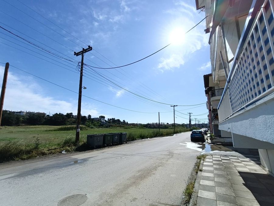 Fotografías 316520238