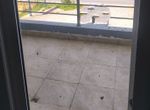 Photo 316586175