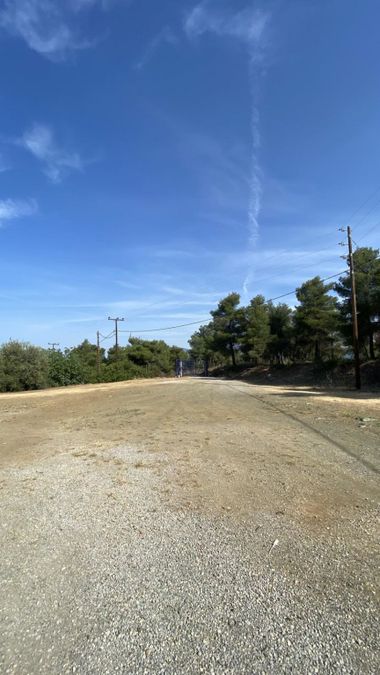 Photo 316701303