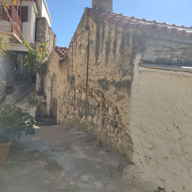Photo 317109471