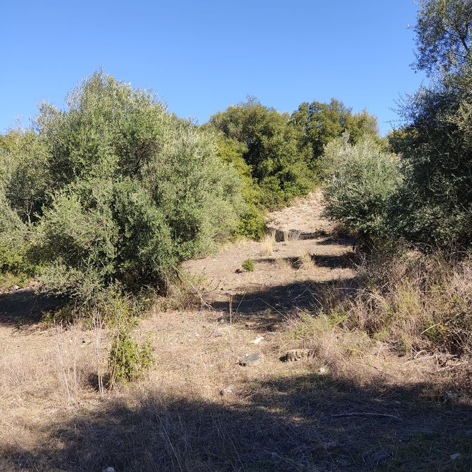 Photo 317110128