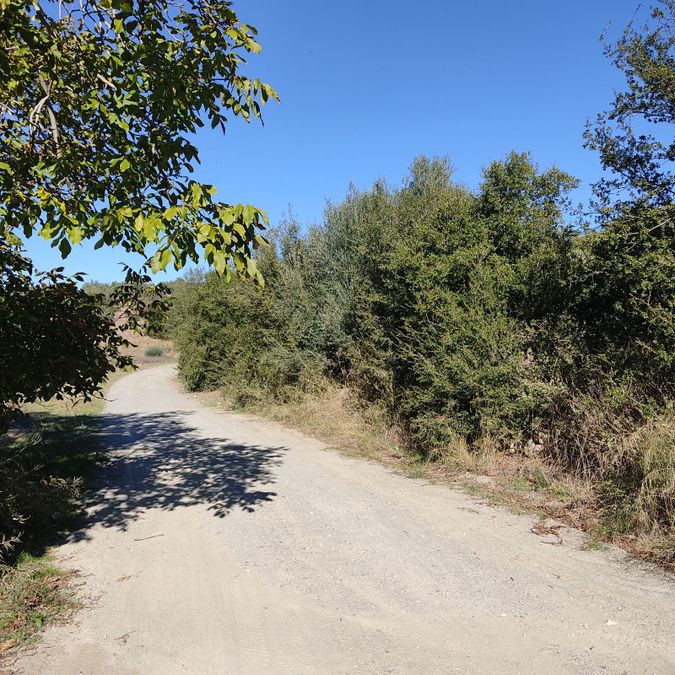 Photo 317110134