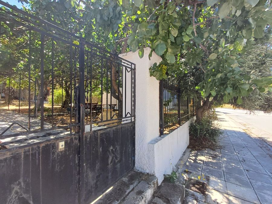 Photo 317151237