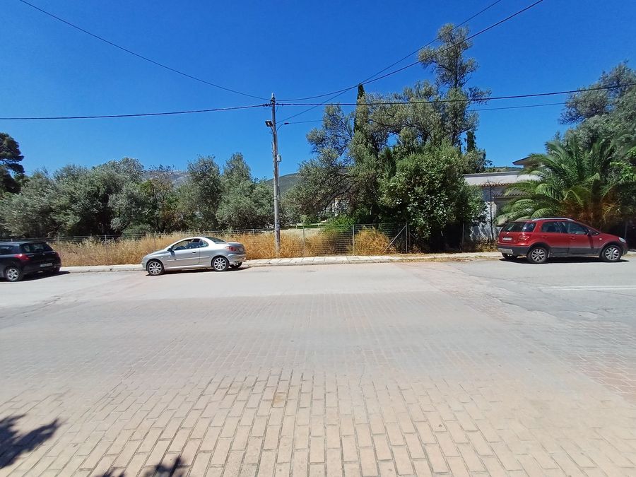 Photo 317151240