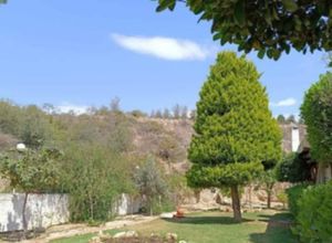 Photo 5,Μονοκατοικία, 45τ.μ.,Κεχριές, Κόρινθος (Κορινθία),€450 / μήνα