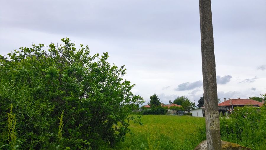 Снимка 317324856