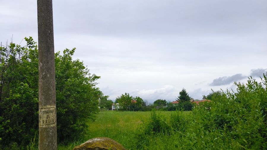 Снимка 317324859