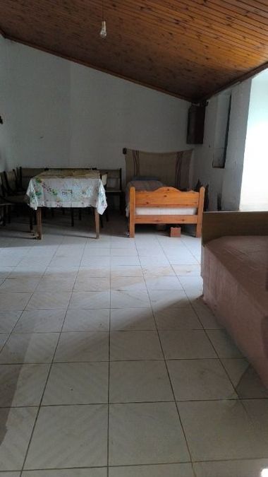 Photo 317564526