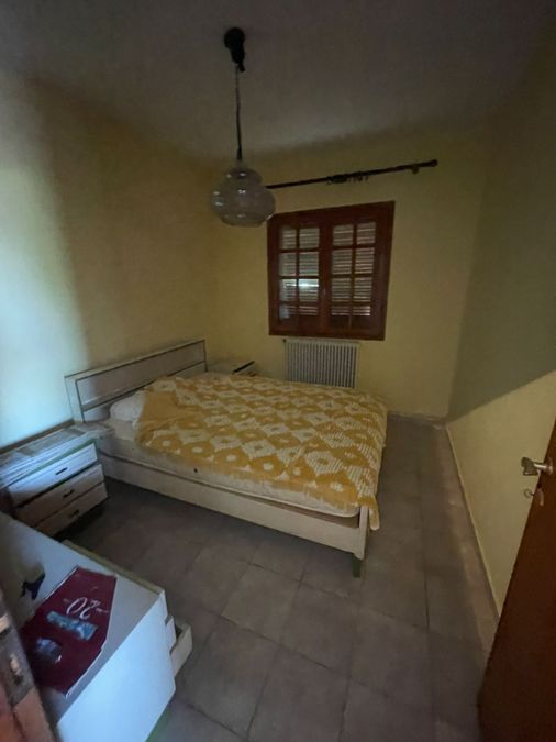 Fotografie 317575029