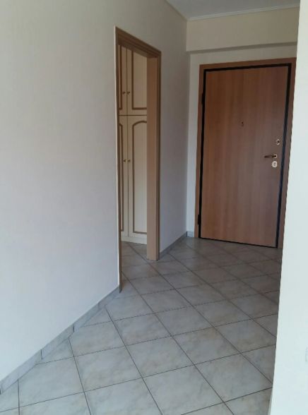 Photo 317658669