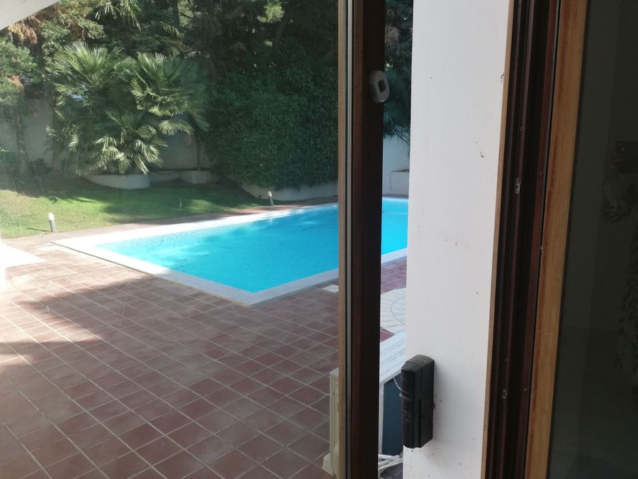 Photo 317716005