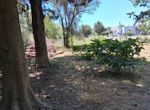 Foto 317813100