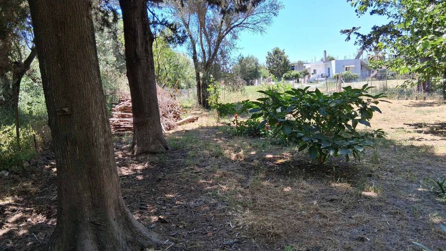 Photo 317815692