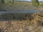 Photo 317823288
