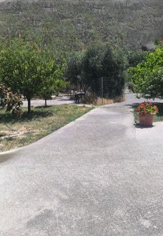 Photo 317867067