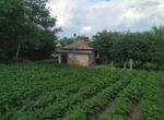 Снимка 318134247