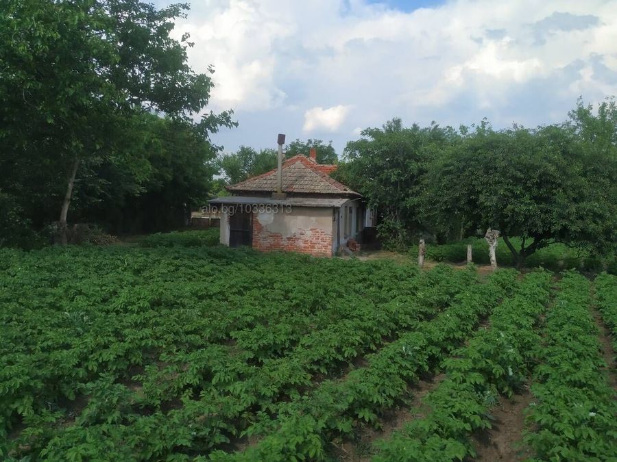 Снимка 318134247