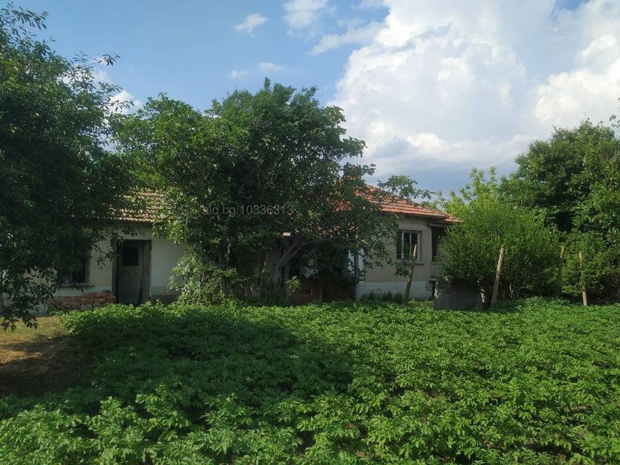 Снимка 318134250