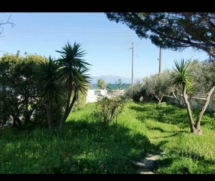 Photo 318761514