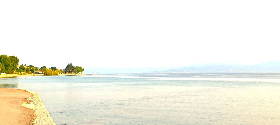 Photo 318782142