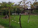 Снимка 319072830
