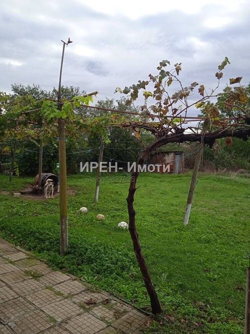 Снимка 319072830