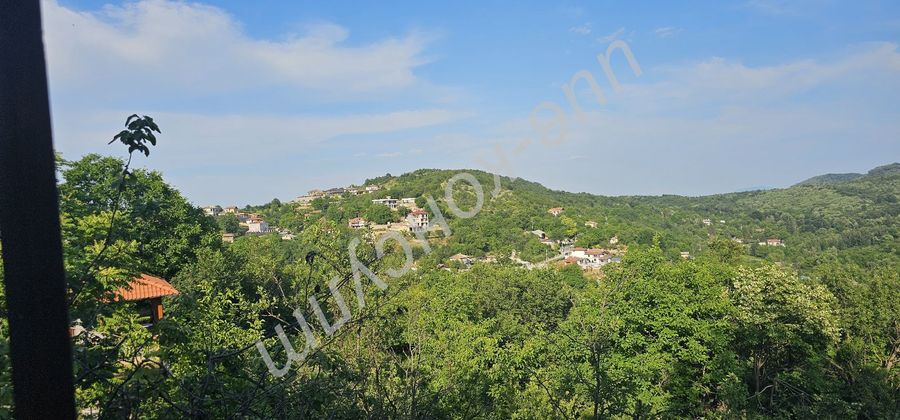 Снимка 319081665