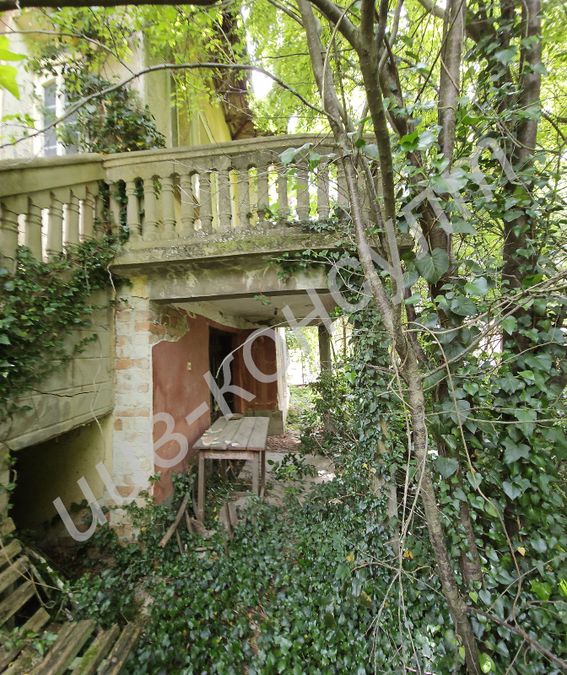 Снимка 319082484