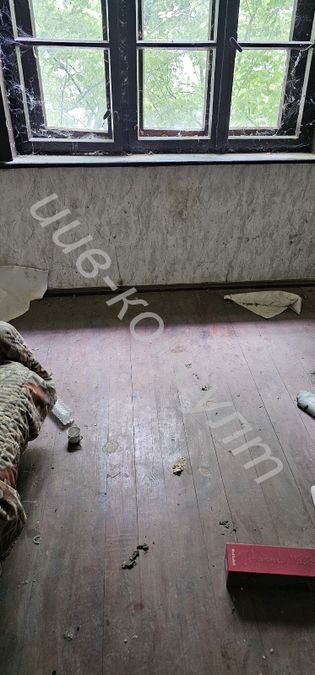 Снимка 319082493