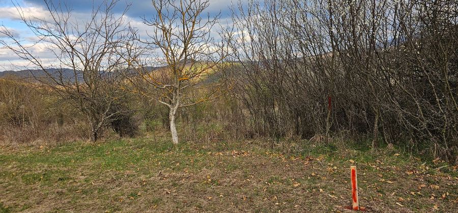 Снимка 319083102