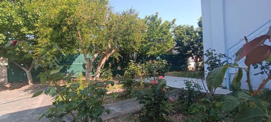 Photo 319267095